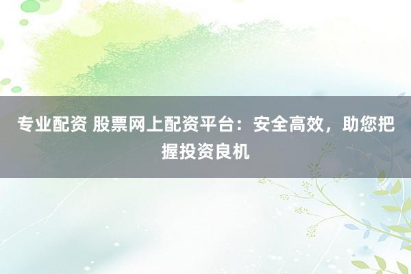 专业配资 股票网上配资平台:安全高效,助您把握投资良机