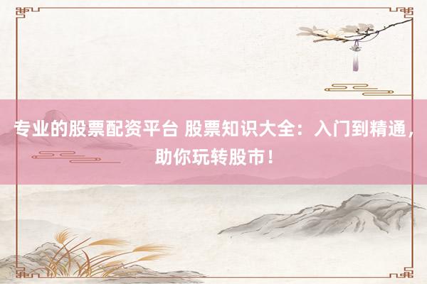 专业的股票配资平台 股票知识大全：入门到精通，助你玩转股市！