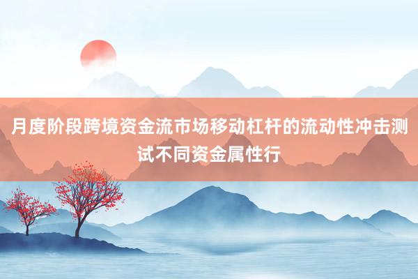 月度阶段跨境资金流市场移动杠杆的流动性冲击测试不同资金属性行