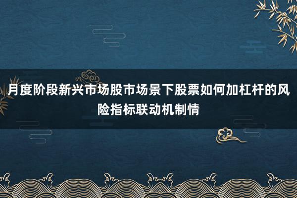 月度阶段新兴市场股市场景下股票如何加杠杆的风险指标联动机制情