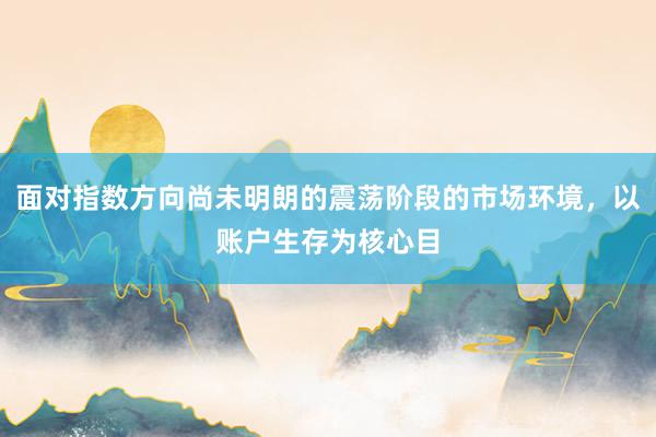面对指数方向尚未明朗的震荡阶段的市场环境，以账户生存为核心目