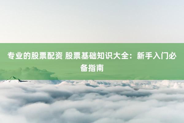 专业的股票配资 股票基础知识大全:新手入门必备指南