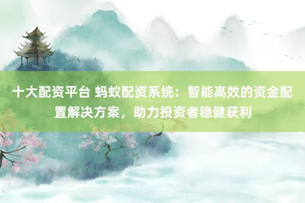 十大配资平台 蚂蚁配资系统：智能高效的资金配置解决方案，助力投资者稳健获利