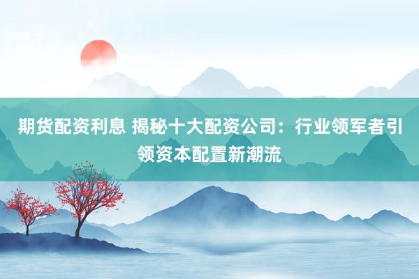期货配资利息 揭秘十大配资公司：行业领军者引领资本配置新潮流