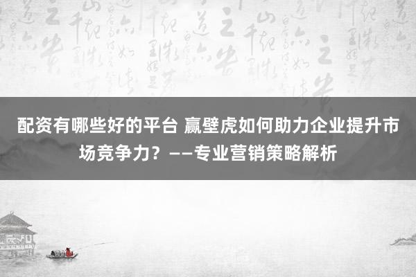 配资有哪些好的平台 赢壁虎如何助力企业提升市场竞争力？——专业营销策略解析